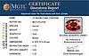 certificate_imageHG-8160-18821.jpg