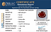 certificate_imageHG-8211-21236.jpg