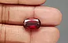 African Hessonite Garnet  8.78 Carat Prime Quality HG-8221