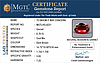 certificate_imageHG-8221-48207.jpg