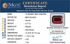certificate_imageHG-8222-81038.jpg