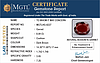 certificate_imageHG-8227-14081.jpg