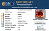 certificate_imageHG-8250-6352.jpg
