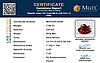 certificate_imageMGTLHG-8258_1728981257.png