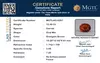 certificate_imageMGTLHG-8287_1719829923.png