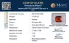 certificate_imageMGTLHG-8288_1719830008.png