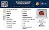 certificate_imageMGTLHG-8301_1719832087.png