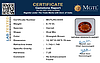 certificate_imageMGTLHG-8305_1727085099.png