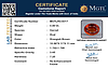 certificate_imageMGTLHG-8317_1727086557.png