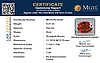 certificate_imageMGTLHG-8326_1727087460.png