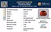 certificate_imageMGTLHG-8345-60451.png