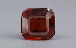 Ceylon Hessonite Garnet - 9.29 Carat Limited Quality HG-8351