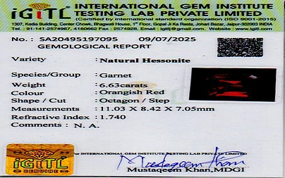 certificate_imageHG-8356-983.jpg