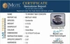 ilt-18032-1111731373.jpg