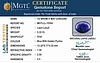 ll-15594-1597840460.jpg