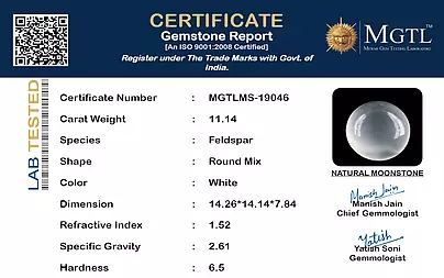 certificate_imageMGTLMS-19046-49073.png