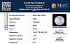 certificate_imageMGTLMS-19065-71400.png