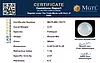 certificate_imageMGTLMS-19073-58865.png
