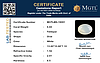 certificate_imageMGTLMS-19091-36561.png