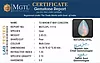 certificate_imageOPL-11114-76388.jpg