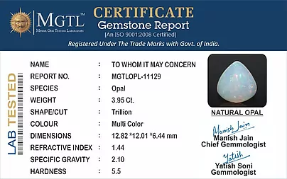 certificate_imageOPL-11129-74610.jpg