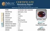 opl-11198-1651648899.jpg