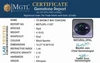 opl-11207-658520309.jpg