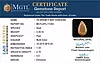 certificate_imageOPL-11292-23335.jpg
