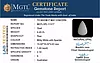certificate_imageOPL-11377-74868.jpg