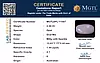 certificate_imageMGTLOPL-11487-61101.png