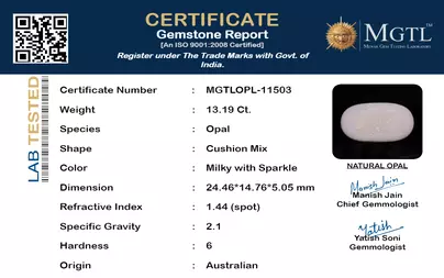 certificate_imageMGTLOPL-11503_1718704588.png