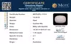 certificate_imageMGTLOPL-11514_1718705672.png