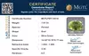 certificate_imageMGTLPDT-14519_1721722650.png