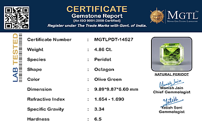 certificate_imageMGTLPDT-14527_1729576226.png