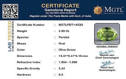 certificate_imageMGTLPDT-14529_1729576617.png