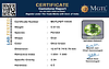 certificate_imageMGTLPDT-14535_1729578073.png