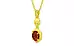 Panchdhatu Hessonite Garnet Pendant Limited Quality (P6)