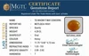 qca-16041-162673766.jpg