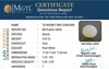 qca-16052-1728571765.jpg