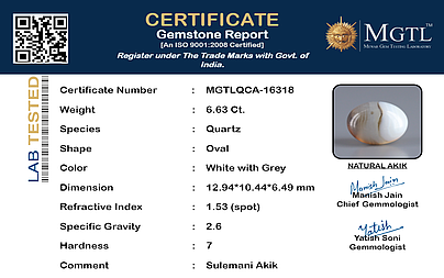 certificate_imageMGTLQCA-16318_1729071295.png