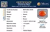 certificate_imageMGTLQCA-16430-30790.png