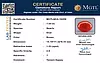 certificate_imageMGTLQCA-16458-875.png