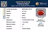 certificate_imageMGTLQCA-16472-11557.png