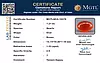 certificate_imageMGTLQCA-16476-41878.png