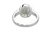 Goldcollet Cat's Eye Ring Prime Quality (R6)