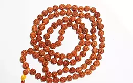7 Mukhi Nepali Rudraksha Mala