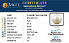 certificate_imageSSP-8501_1728981557.JPG