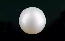 South Sea Pearl - 5.85 Carat Prime Quality SSP-8834