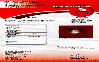 certificate_imageimg20250423_15460513-51863.jpg
