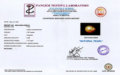 certificate_imageSSP-8955-2083.jpg